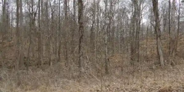 0 Beaver Lane