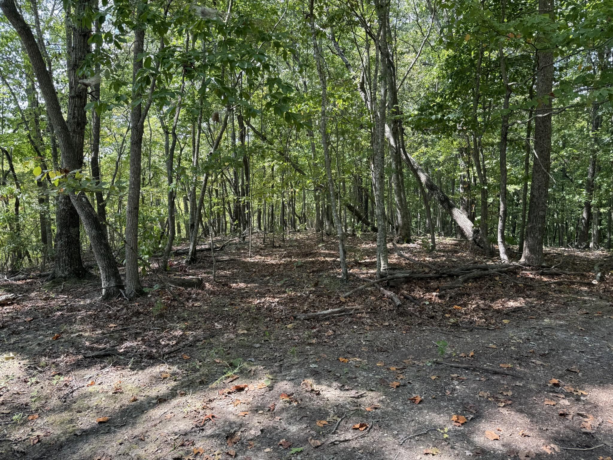 Image 3 Image 3