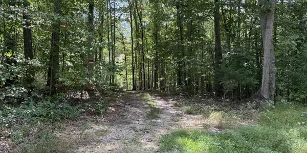 Image 4 Image 4