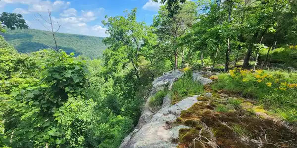 0 Roth Point Road