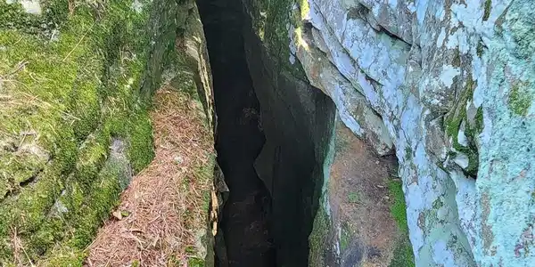 Image 3 Image 3