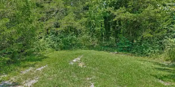 Image 4 Image 4