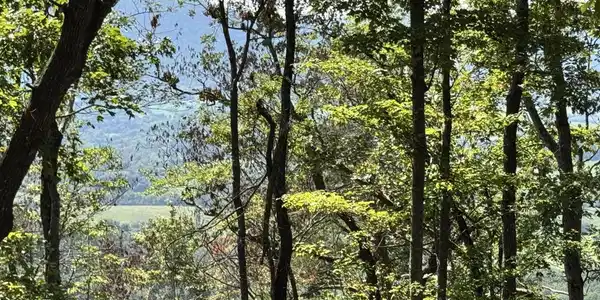 Image 4 Image 4