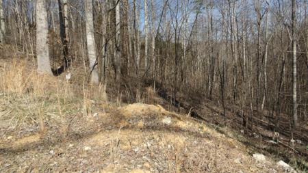174 Turkeytown Rd