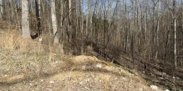 174 Turkeytown Rd