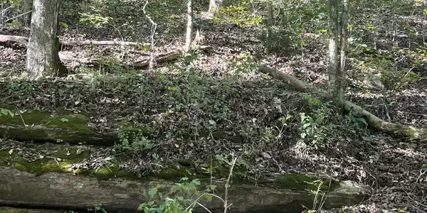 0 NEELEY CREEK RD