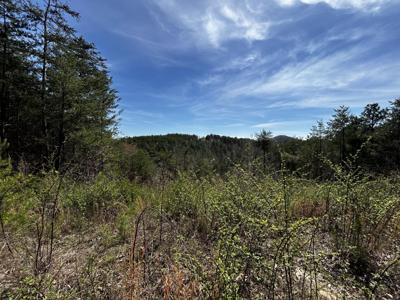 0 Owl Hollow Rd SW