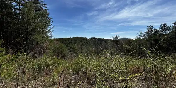 0 Owl Hollow Rd SW