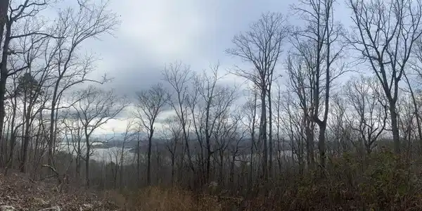 13 Bluffs North Road