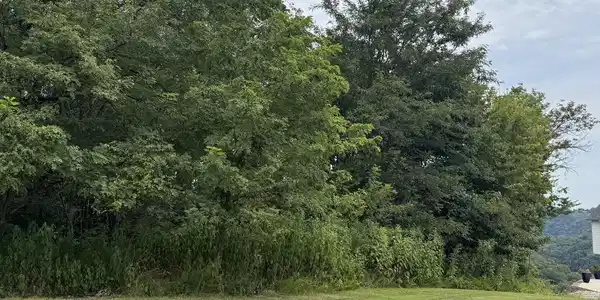 Image 3 Image 3