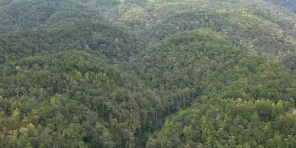 Image 2 Image 2