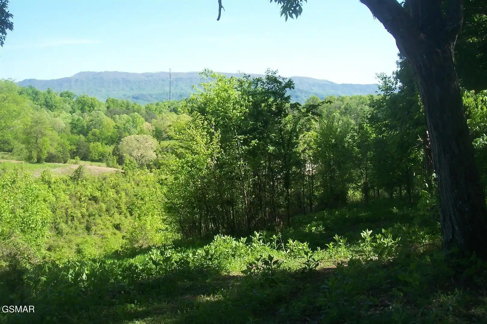 Image 1 Image 1