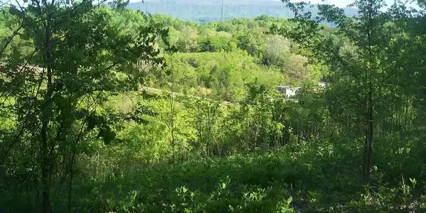 Image 3 Image 3
