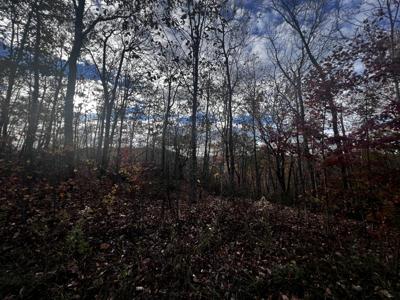 0 Bills Creek Ln