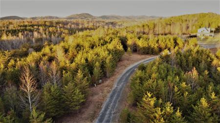 0 Mountain Ridge