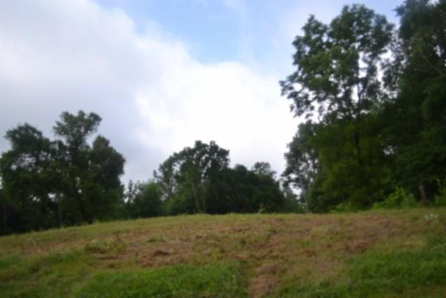 Image 2 Image 2