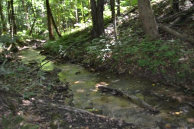 Image 4 Image 4