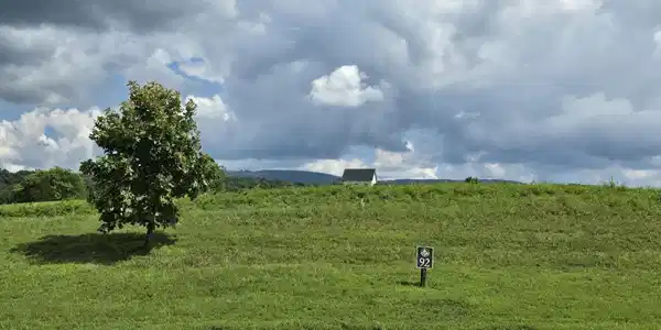 Image 2 Image 2