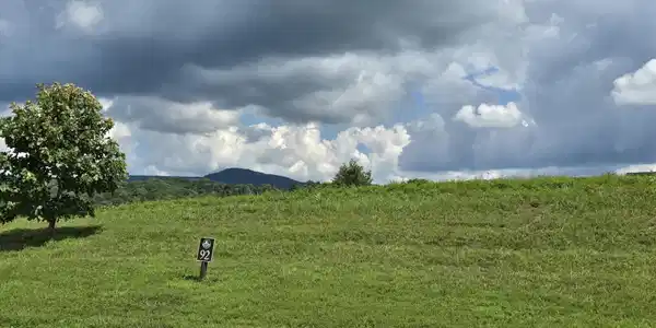 Image 3 Image 3