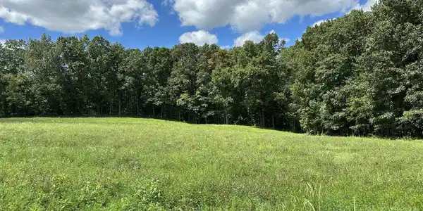Image 3 Image 3