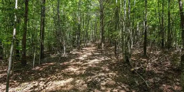 20 Pack Mountain Road