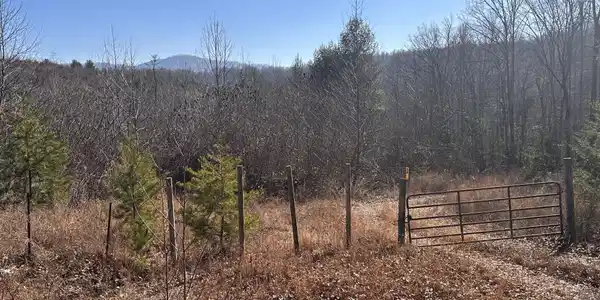 16245 Mill Creek Rd