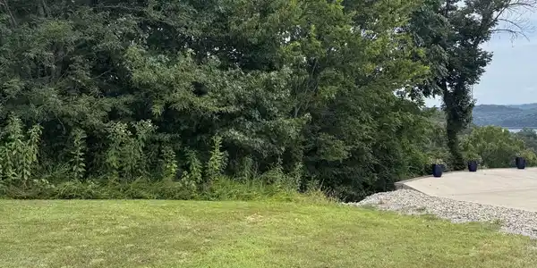 Image 4 Image 4