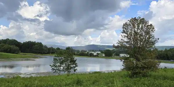 Image 3 Image 3