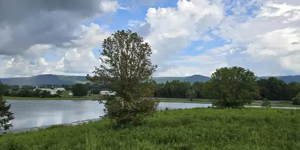 Image 4 Image 4