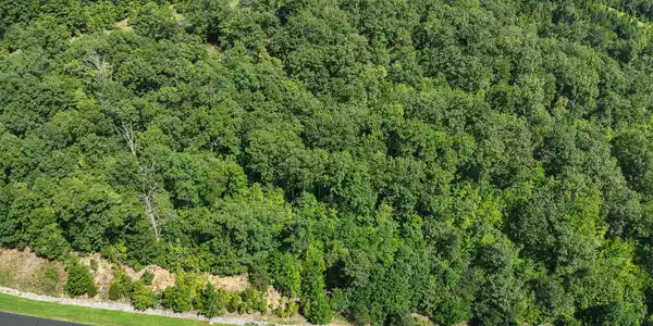 Image 2 Image 2
