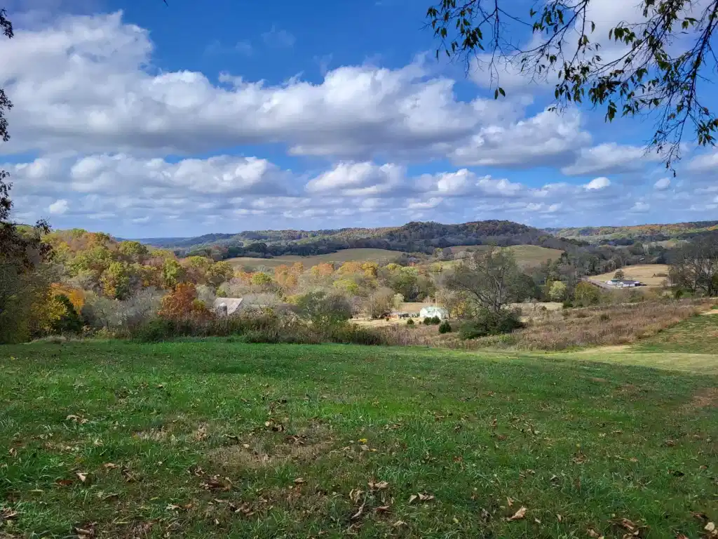 Image 1 Image 1