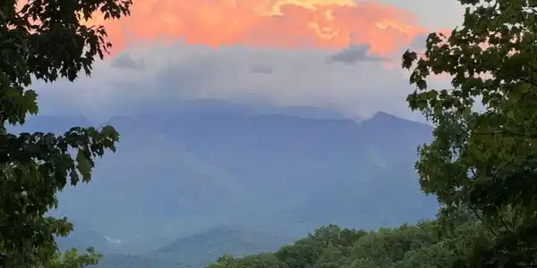 Image 2 Image 2