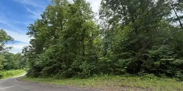 Image 3 Image 3