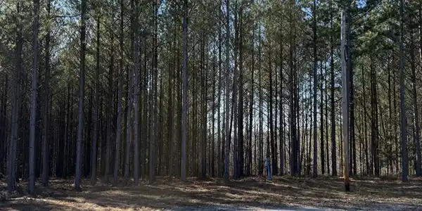 Image 3 Image 3