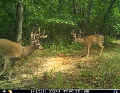 0 Sulphur Creek Road