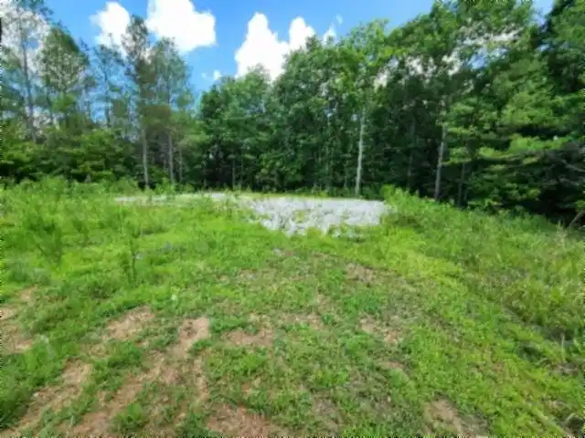 Image 1 Image 1