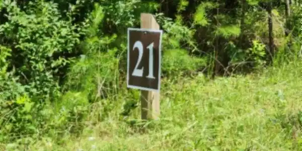 Image 2 Image 2