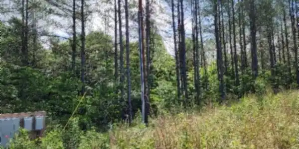 Image 4 Image 4