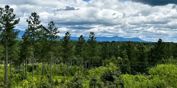 26 Hughes Lake Road Se