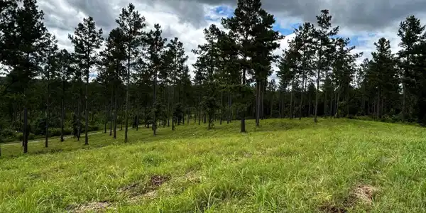 Image 4 Image 4