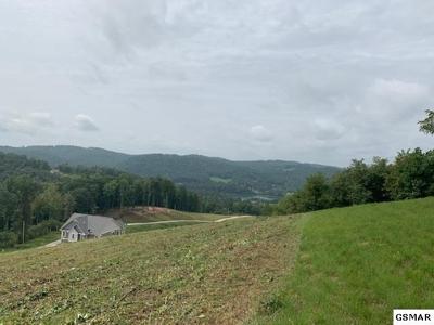 11 Mountain Way