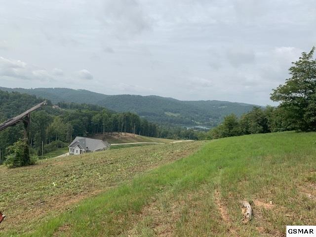 Image 2 Image 2