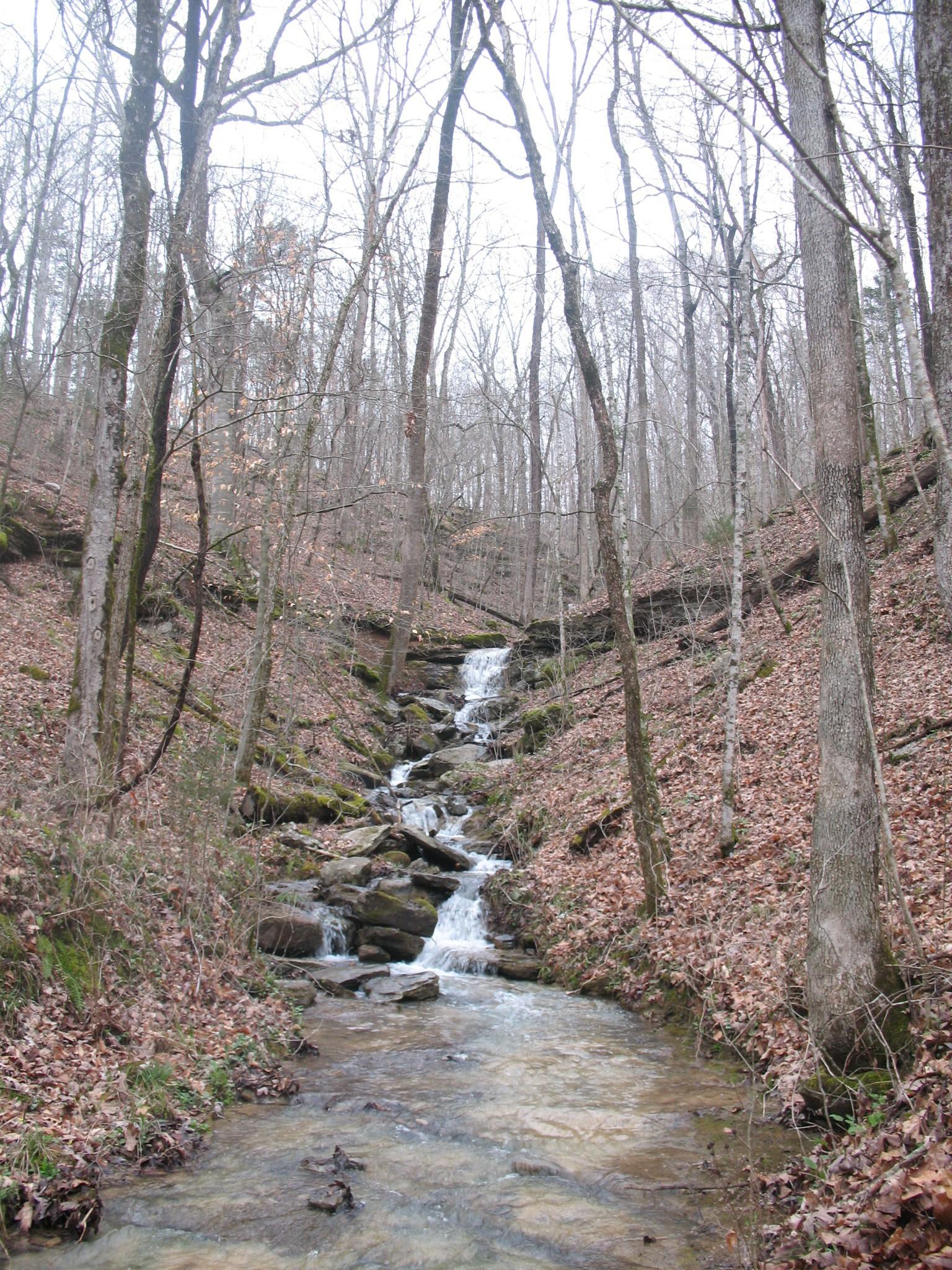 Image 1 Image 1