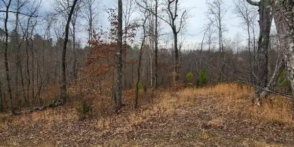 584 Back Bone Rd