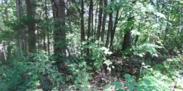 0 Lord Botetourt Court