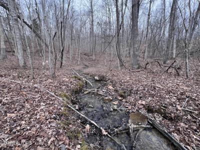 0 Buffalo Cove Lane