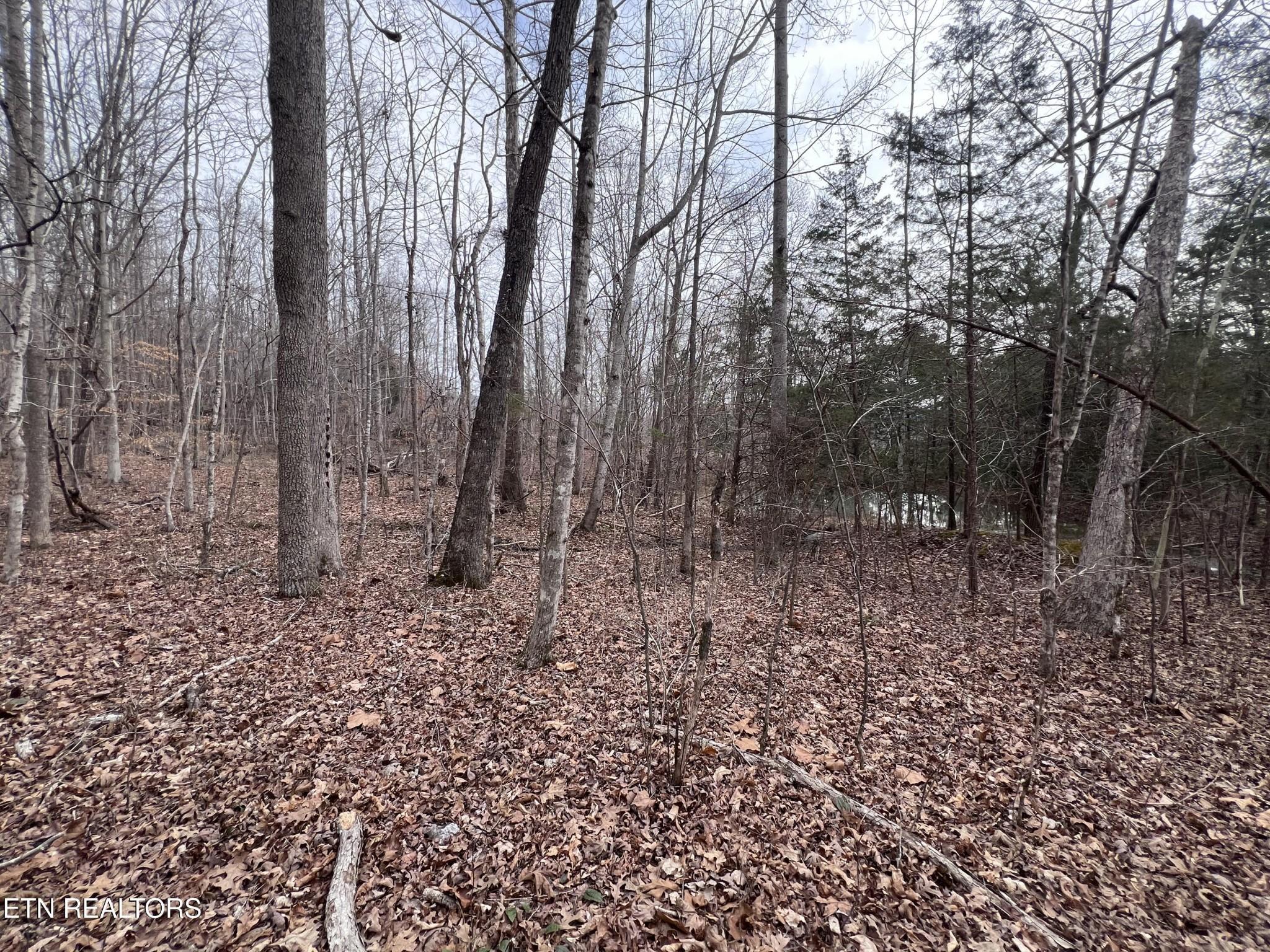 Image 4 Image 4