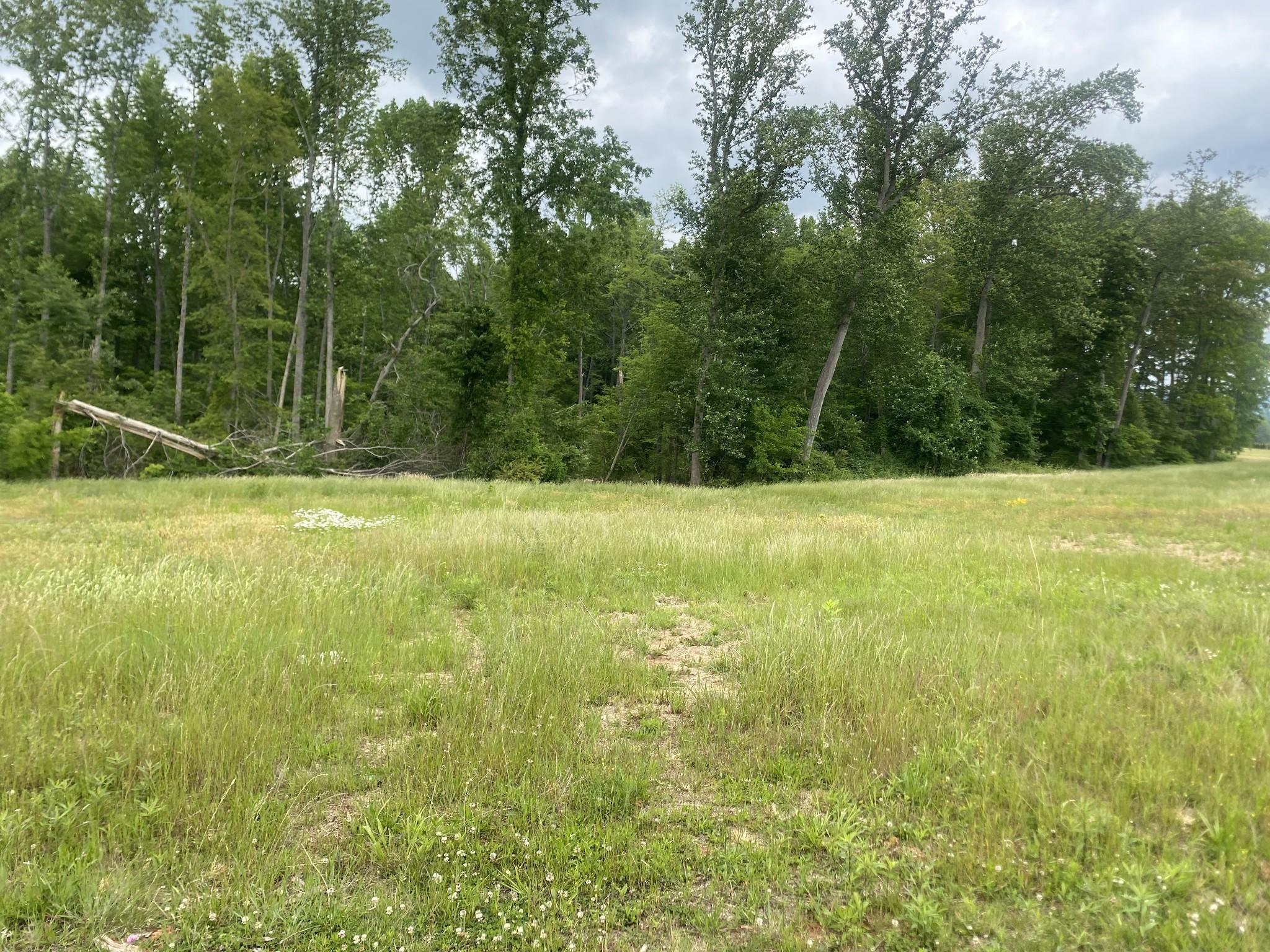 Image 3 Image 3