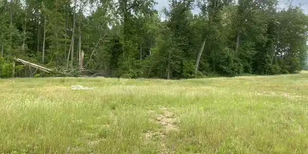 Image 3 Image 3
