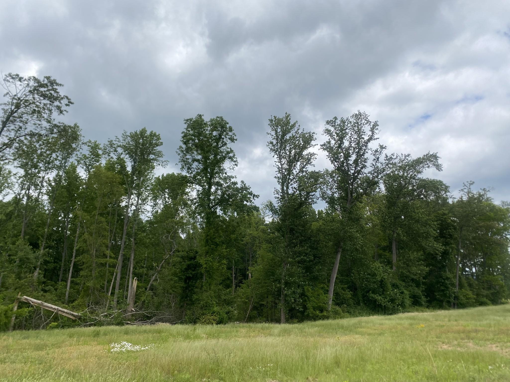 Image 4 Image 4